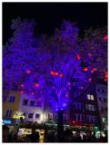 Weihnachtsmarkt alter Markt
