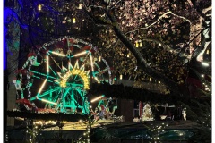 Weihnachtsmarkt alter Markt