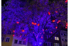 Weihnachtsmarkt alter Markt