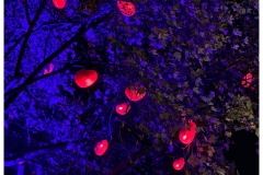 Weihnachtsmarkt alter Markt